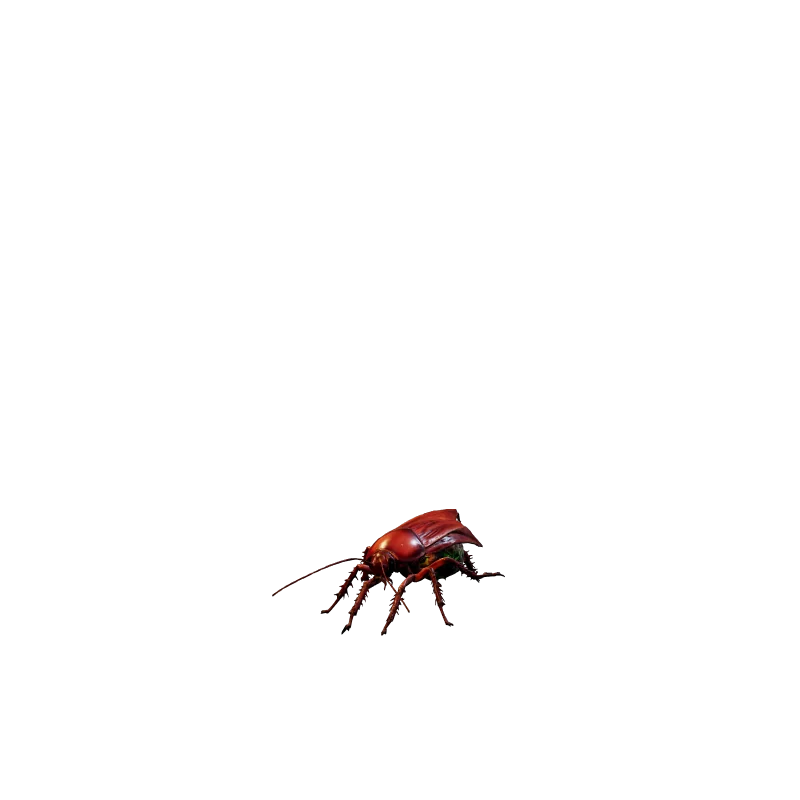The Blistered Roach