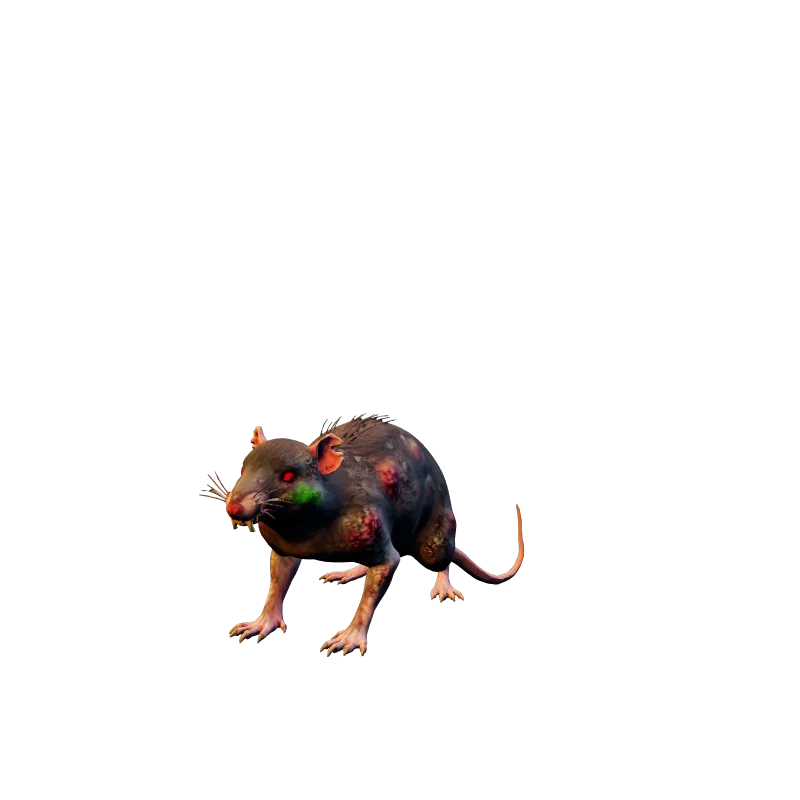 The Bloated Rat